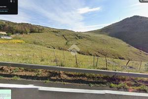 TER. AGRICOLO A PALERMO