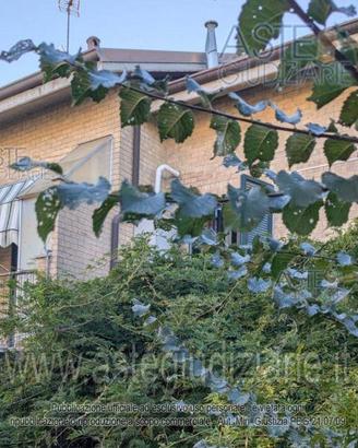 Appartamento Voghera [A4346689]