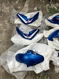 Carenature Blu RKF 125