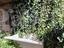 Immagine 11