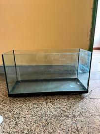 Ex Acquario/terrario tartarughe/rettili