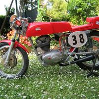 Ducati Altro modello - 1968
