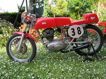 Ducati Altro modello - 1968