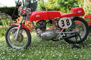 Ducati Altro modello - 1968