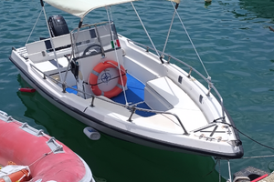 Barca Open 4.5m con Motore Evinrude 2T - come uovo