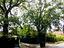 Immagine 22