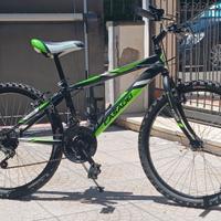 Mountain Bike Casadei Stark 24 pollici