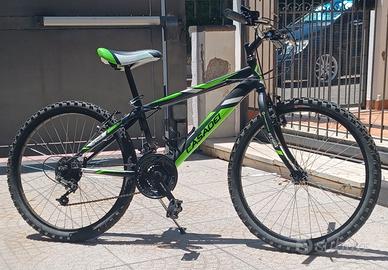 Bicicletta Mountain Bike Casadei Stark 24 pollici