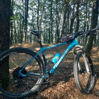 Mtb Torpado Ribot A taglia L