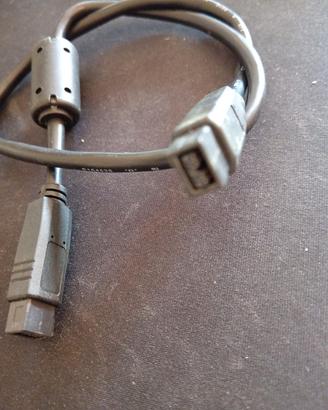 Cavo firewire 800 