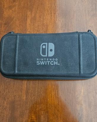 astuccio nintendo