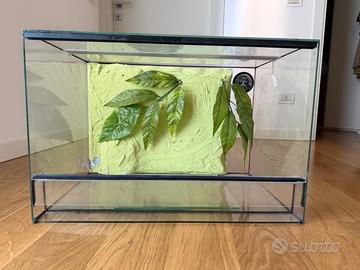 Terrario in vetro 60 × 40 × 40 cm – €50