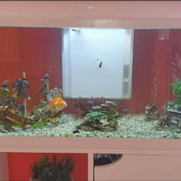 Acquario Iseo 80 con mobiletto completo di accesso