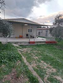Casetta in montagna
