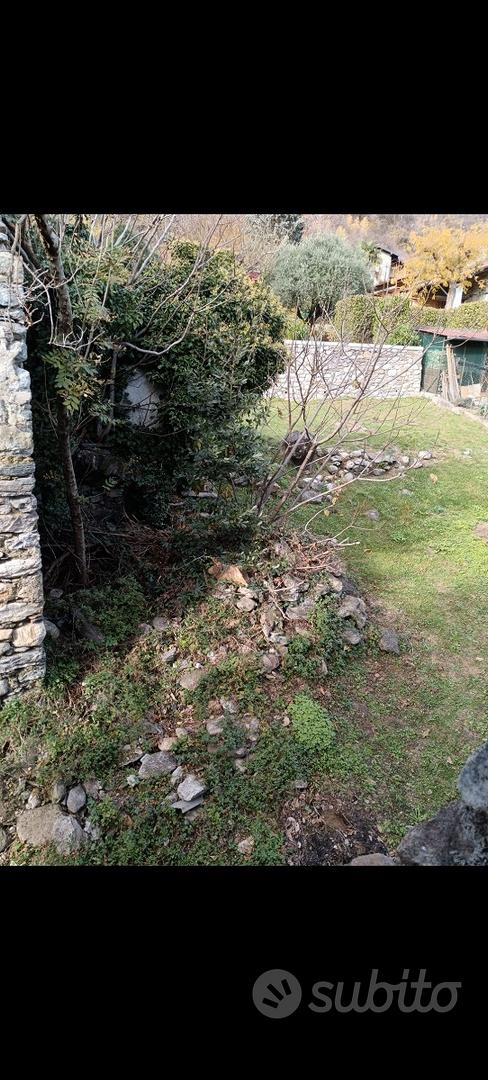 Vendita casa + terreno - Altro