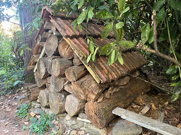 tronchi di legno da ardere o altro