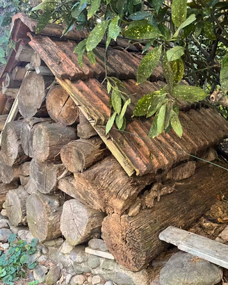 tronchi di legno da ardere o altro