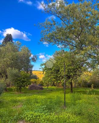 TER. RESIDENZIALE A ROMA