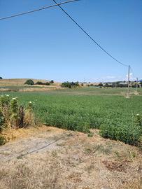 Terreno agricolo + capannone/fienile