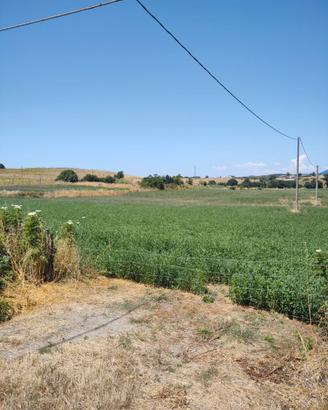 Terreno agricolo + capannone/fienile