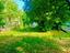 Immagine 18