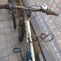 MTB 24 