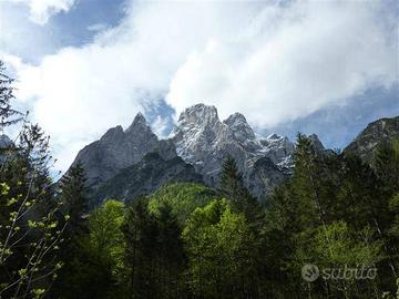 Terreno di 13290 m² a Rivamonte Agordino