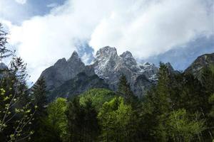 Terreno di 13290 m² a Rivamonte Agordino