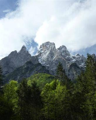 Terreno di 13290 m² a Rivamonte Agordino