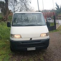 fiat ducato cassone 