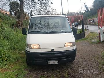 fiat ducato cassone 