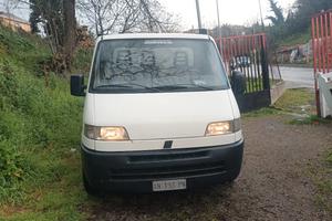 fiat ducato cassone 