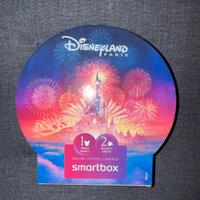 Box Disneyland Paris