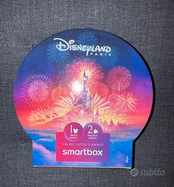 Box Disneyland Paris