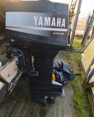 Yamaha 25 j