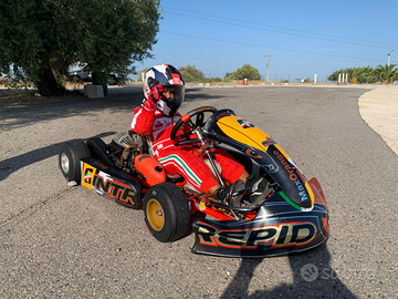 Go Kart INTREPID 60Cc