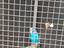 Immagine 3
