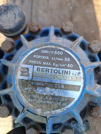 pompa irroratrice bertolini 55s