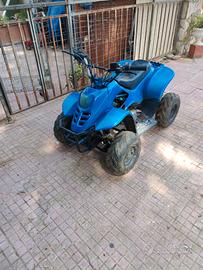 quad 110cc 