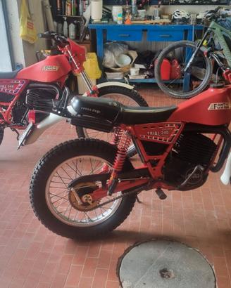 Fantic trial Professiona e Seven day
