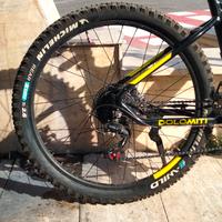 bici elettrica 