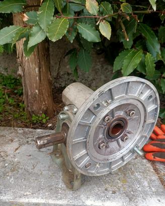 riduttore per motore elettrico 