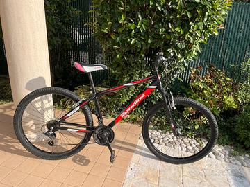 Bicicletta ragazzo
