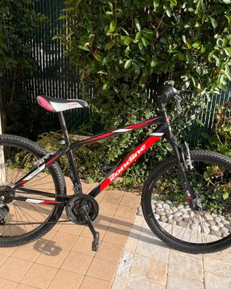 Bicicletta ragazzo