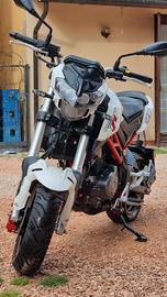 Benelli TNT 125