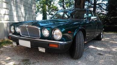 Jaguar xj6/xj12 (1968-86) - 1981