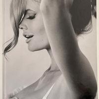 Tommy Hilfiger Special Edition libro fotografico