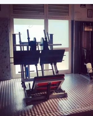 Watson Animal Leg press