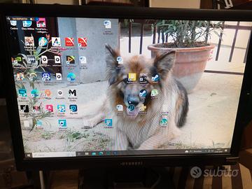 monitor hyundai  19 con casse