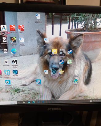 monitor hyundai  19 con casse